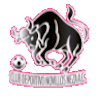 https://img.xidiannaisi.com/img/football/team/97c3ef30cac48cadff97605e387feefa.png