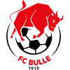 https://img.xidiannaisi.com/img/football/team/b201265fa89720bf8cd8ef95549a4738.png